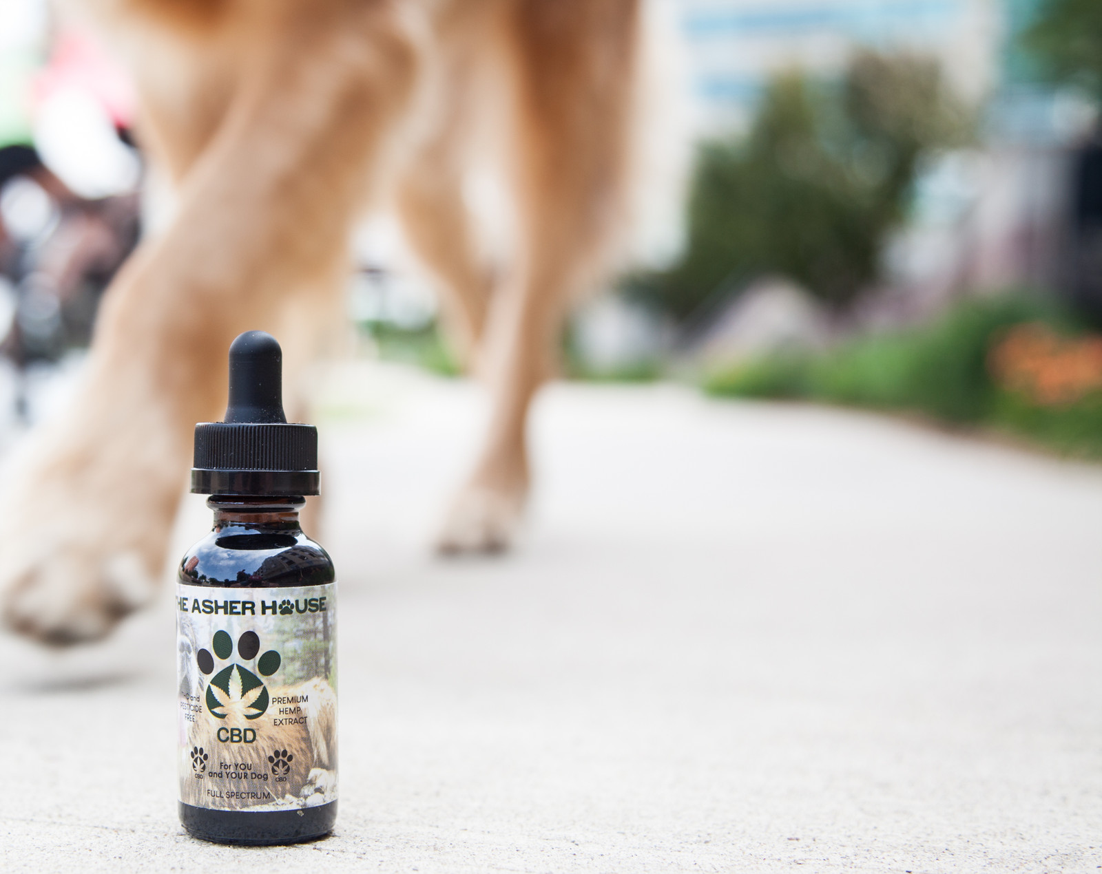 Cannabis Strategic Acquires Asher House Pet CBD Brand Marijuana 