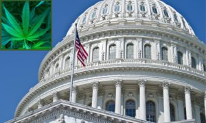DEA Makes Its Final Case For Cannabis Rescheduling As Full Hearing Transcripts Published