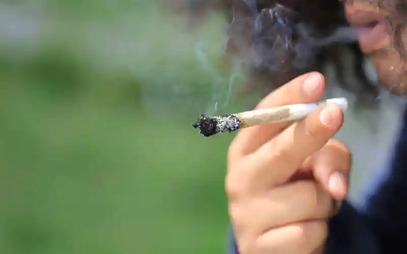 Newly Introduced Bill In Florida Proposes 10% Cap On Smokable THC Products