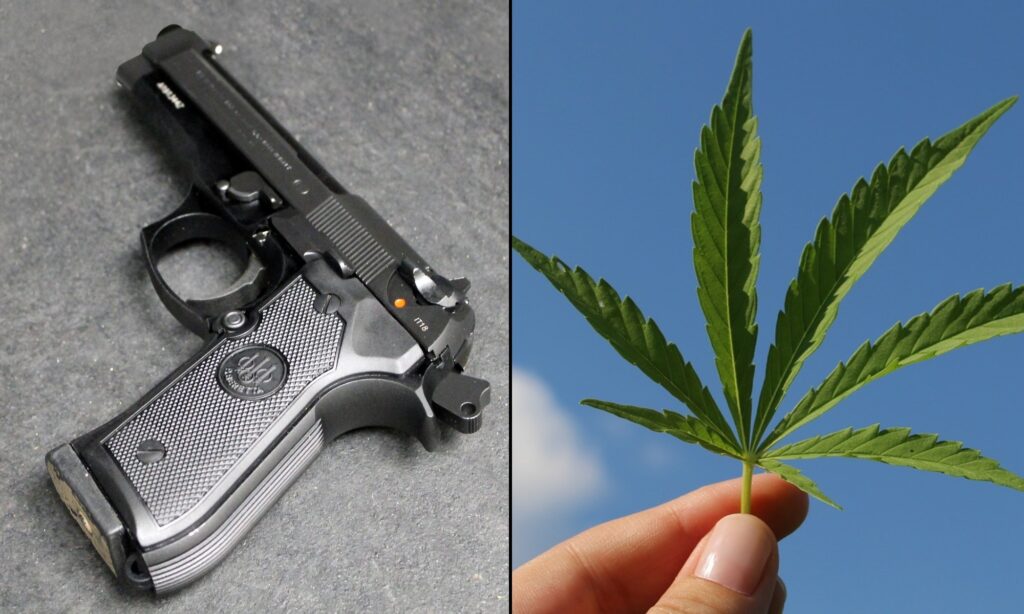 Federal Ban On Gun Ownership By Marijuana Users Is Unconstitutional, Appeals Court Says