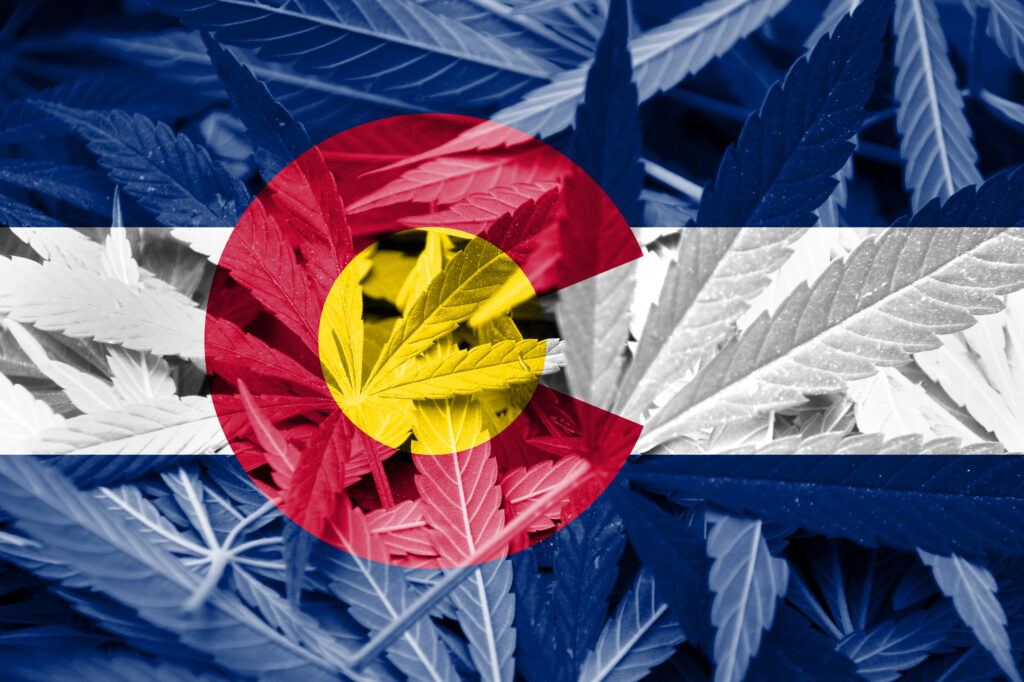 Colorado Could Become A Global Hub For Marijuana Genetics