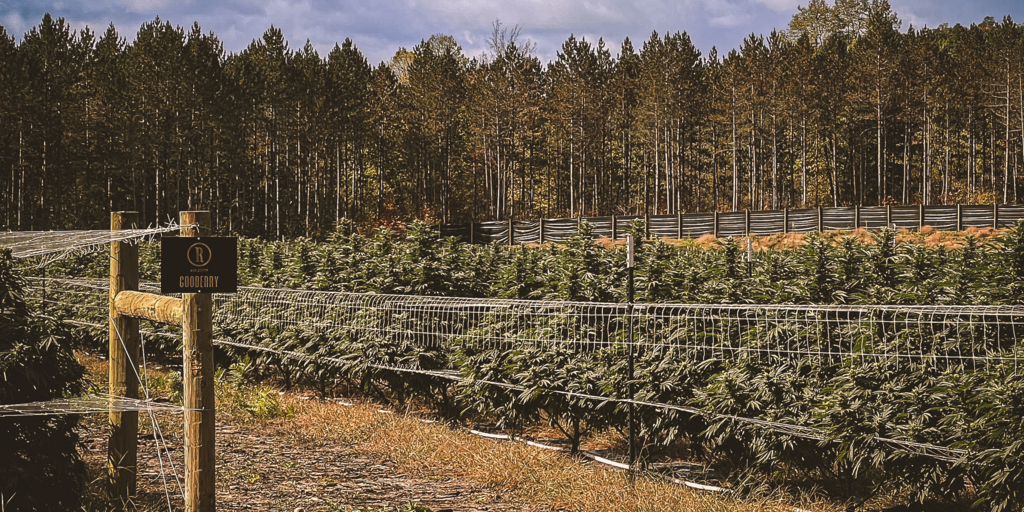 Nation’s Biggest Cannabis Company Owes Michigan Grower $32M In Damages