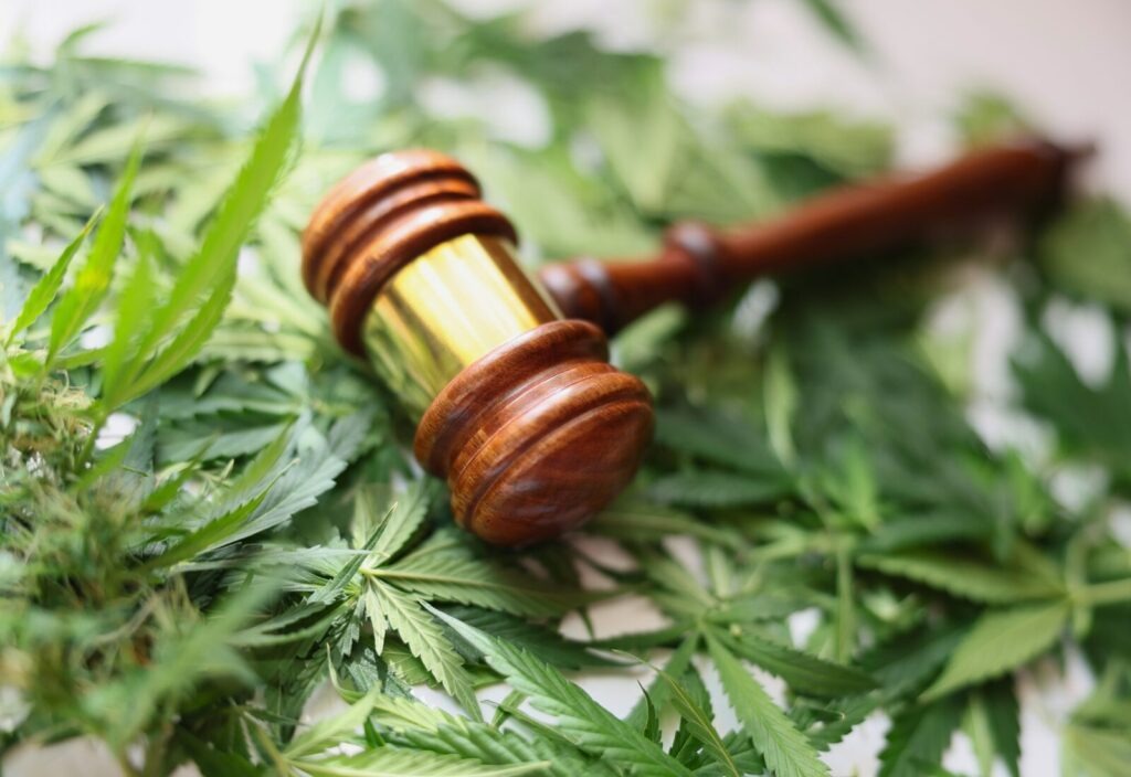 Cannabis Code Enforcement Fines Must be Remedial, Not Punitive, Federal Court of Appeal Holds