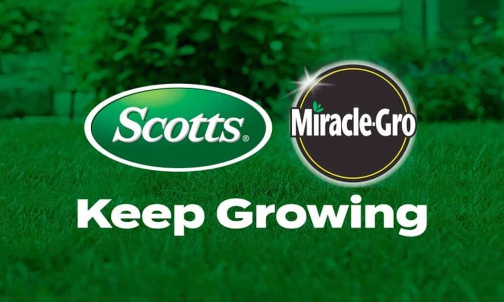 Gro To Marijuana Retail Report