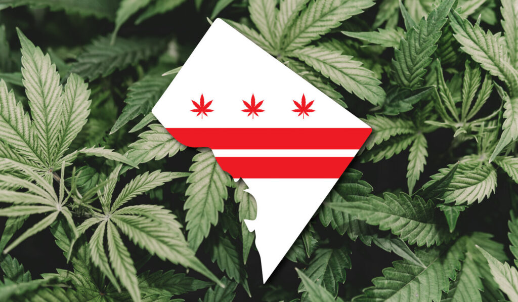 D.C.’s Cannabis Market Emerges From Maryland’s Shadow