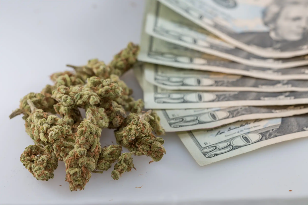 West Virginia Treasurer Allocates Medical Marijuana Revenue Despite Governor’s Veto
